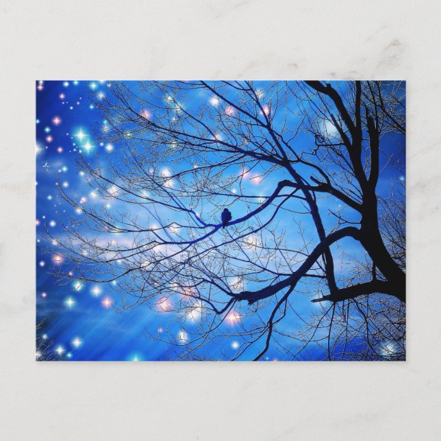 Cartão Postal Sozinho Com As Estrelas (Frente)