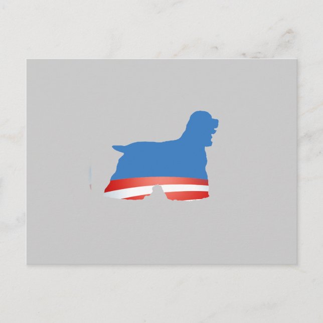 CARTÃO POSTAL SPANIEL BARACKER (Frente)