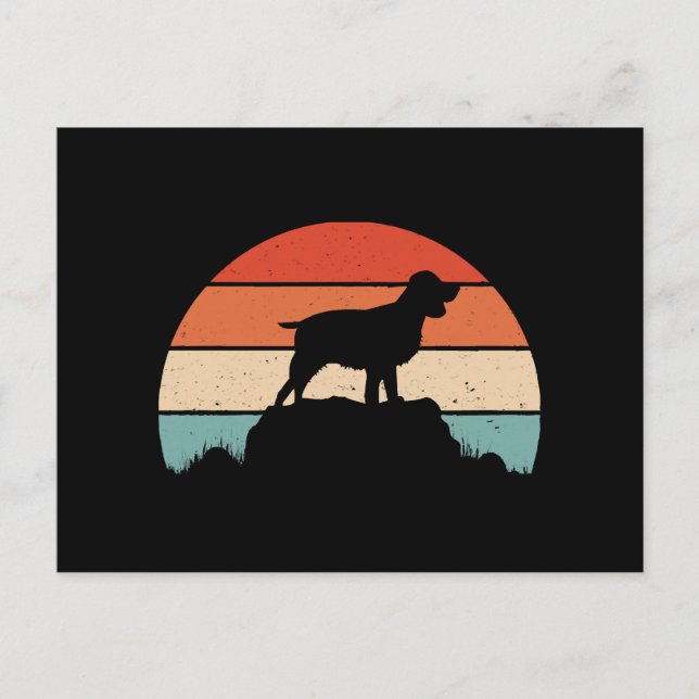 Cartão Postal Spaniel de springer em inglês (Frente)