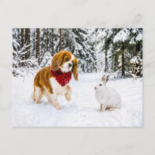 Cartão Postal Spaniel encontra lebre-das-neves na floresta de in