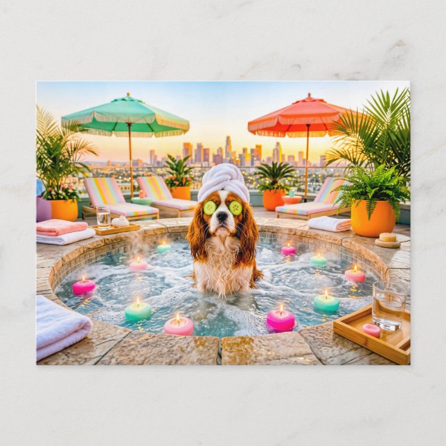 Cartão Postal Spaniel na piscina de bem-estar (Frente)