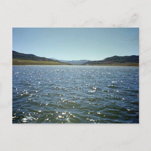 Cartão postal Sparkles (Frente)