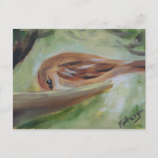 Cartão Postal Sparrow no alimentador