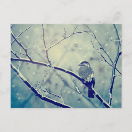 Cartão Postal Sparrow no galho nevado