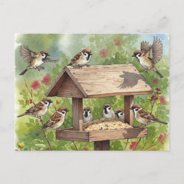Cartão Postal Sparrows com cartão-postal de alimentação de pássa
