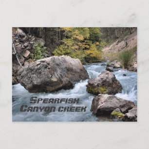 Cartão Postal Spearfish Canyon Creek