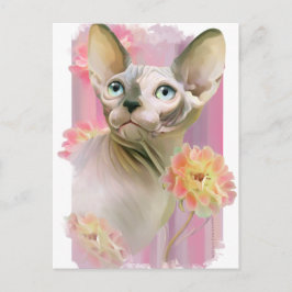 Cartão Postal Sphynx Cat