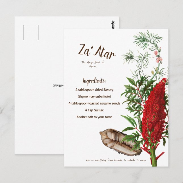 Cartão Postal Spice árabe Recebe Za'atar (Frente/Verso)