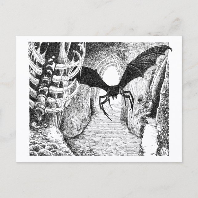 Cartão Postal Spiderbat - Cartão-postal (Frente)