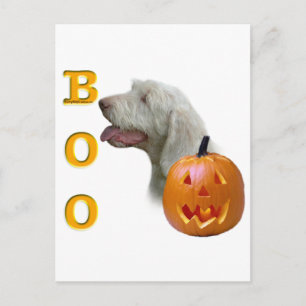 Cartão Postal Spinone Italiano Boo