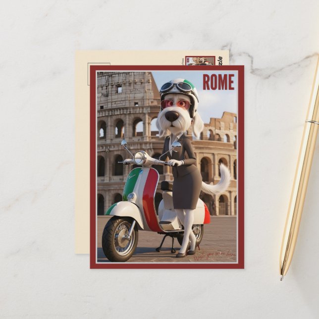 Cartão Postal Spinone Italiano Roma (Frente/Verso In Situ)