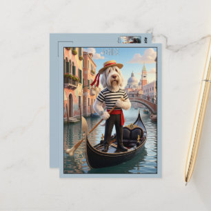 Cartão Postal Spinone Italiano Veneza