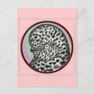 Cartão Postal Splash Tumbler Circ