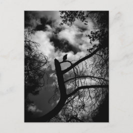 Cartão Postal Spooky Raven na árvore