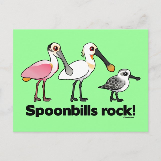 Cartão Postal "Spoonbill Rock"! (Frente)