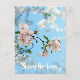 Cartão Postal Spring Is in the Air - 