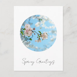 Cartão Postal Spring Is in the Air - 