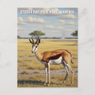 Cartão Postal Springbok Etosha Parque Nacional Namíbia Viagem