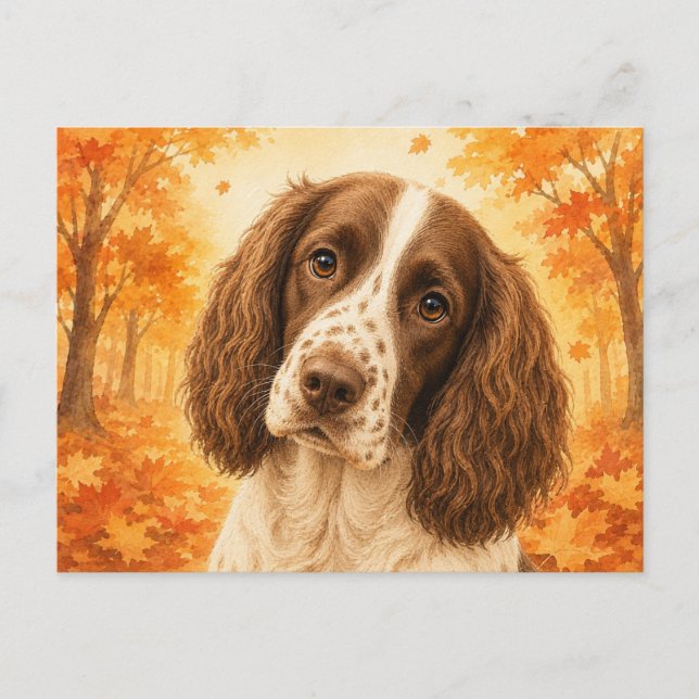 Cartão Postal Springer Spaniel Autumn Forest Dog (Frente)