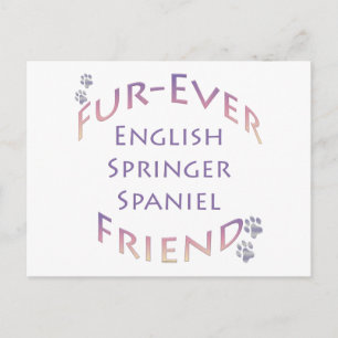 Cartão Postal Springer Spaniel Fuere Inglês