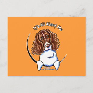 Cartão Postal Springer Spaniel IAAM