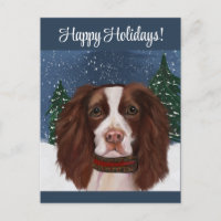 SPRINGER SPANIEL INGLÊS