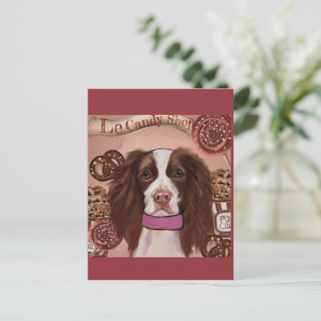 Cartão Postal Springer Spaniel Inglês    (Em pé/Frente)