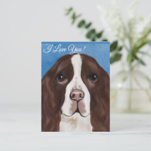 CARTÃO POSTAL SPRINGER SPANIEL INGLÊS