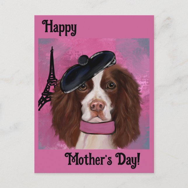 Cartão Postal Springer Spaniel Inglês       (Frente)