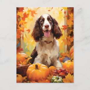 Cartão Postal Springer Spaniel Outono Dia de Ação de Graças