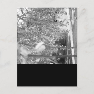 Cartão Postal Springtime