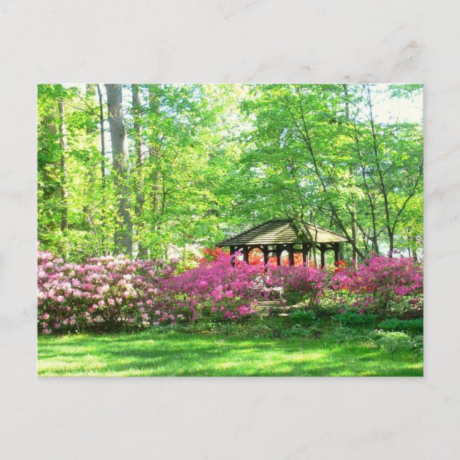 cartão postal "Springtime At Toledo Botanical Gard (Frente)