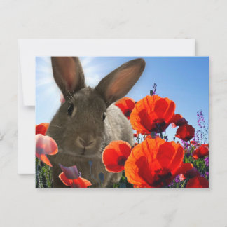 Cartão Postal Springtime Bunny