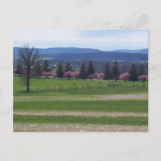Cartão Postal Springtime Em Gettysburg