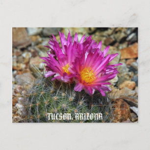 Cartão Postal Springtime Em Tucson