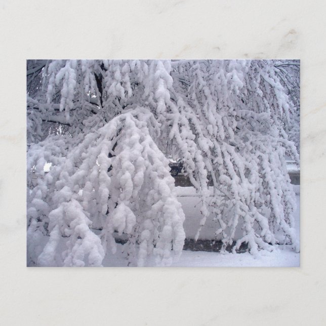 Cartão postal Springtime em Wisconsin (Frente)