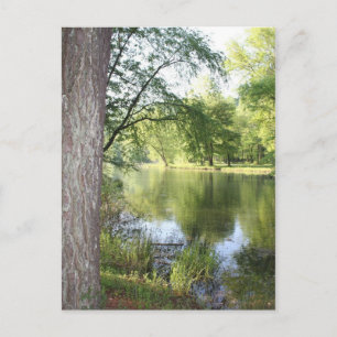 Cartão postal "Springtime in East Tennessee"