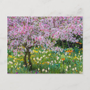 Cartão Postal Springtime no jardim de Claude Monet