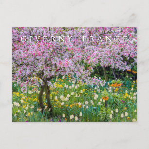 Cartão Postal Springtime no Jardim de Claude Monet   Obrigado