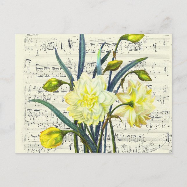 Cartão Postal Springtime Song (Frente)