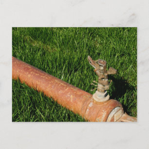Cartão Postal Sprinkler