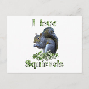 Cartão Postal Squirrel Love