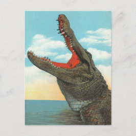 Cartão Postal Sr. Alligator