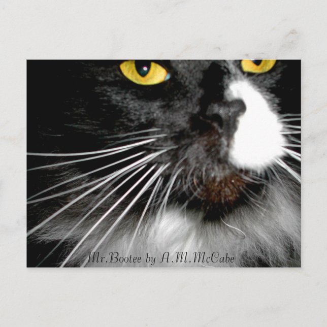 Cartão Postal "Sr. Bootee" (Frente)
