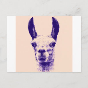 Cartão Postal Sr. Llama