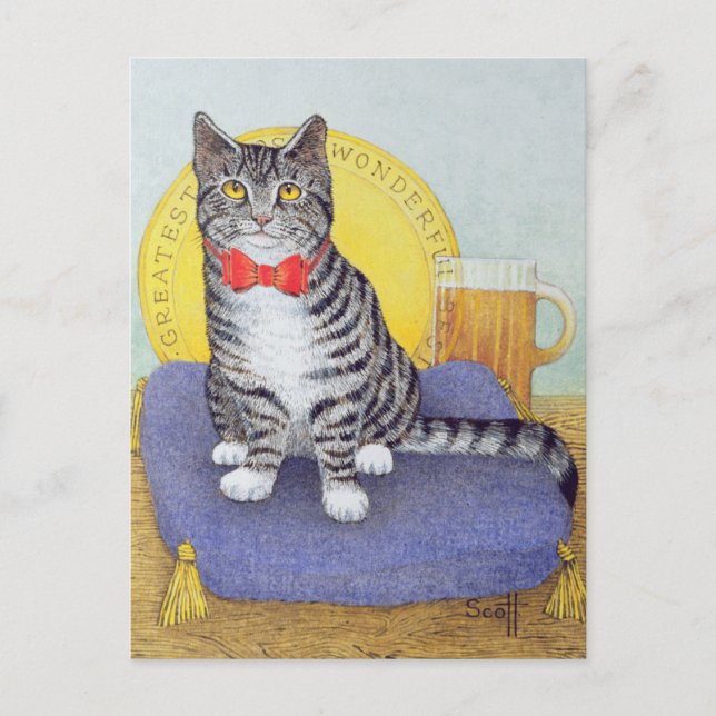 Cartão Postal Sr. Maravilhoso (Frente)