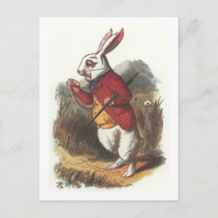 Cartão Postal Sr. Rabbit!