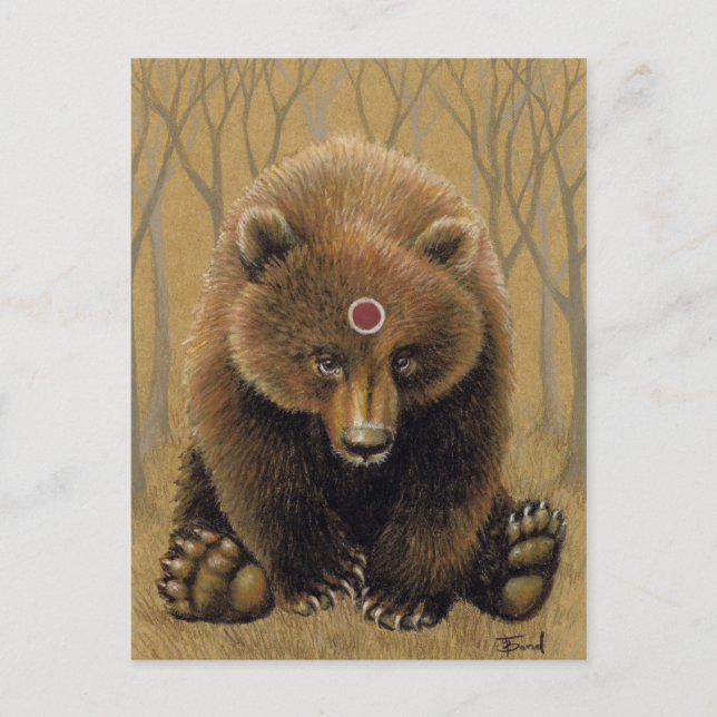 Cartão Postal Sr Urso (Frente)