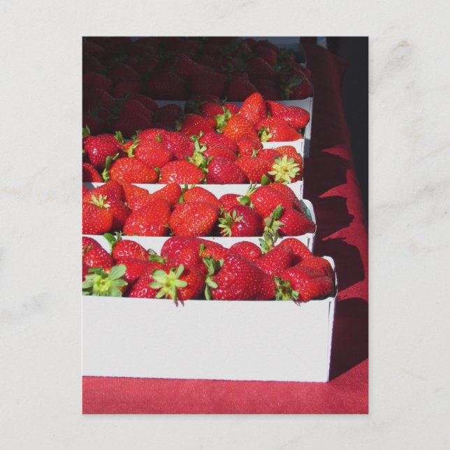 Cartão postal - Srawberry Baskets (vrt) (Frente)
