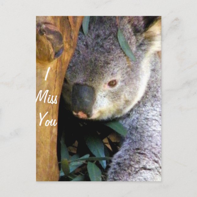 Cartão Postal Srta. (Frente)